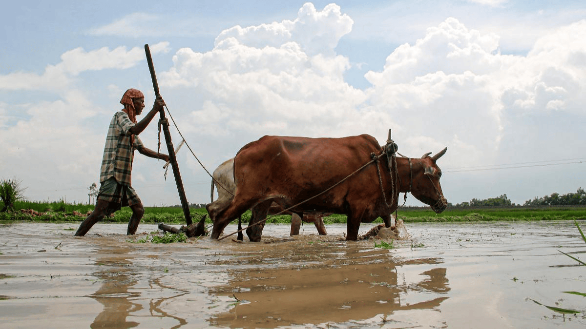 PM Kisan Yojana का स्टेटस घर बैठे कैसे चेक करें? बेहद आसान है तरीका