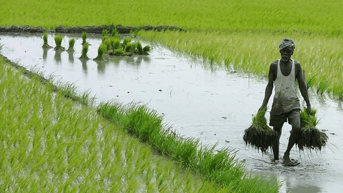 PM Kisan Yojana के लिए कैसे करें e-KYC? जानें स्टेप बाय स्टेप प्रोसेस