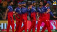 IPL 2024 RCB vs PBKS How Bengaluru Can Qualify For Playoff Know Equation