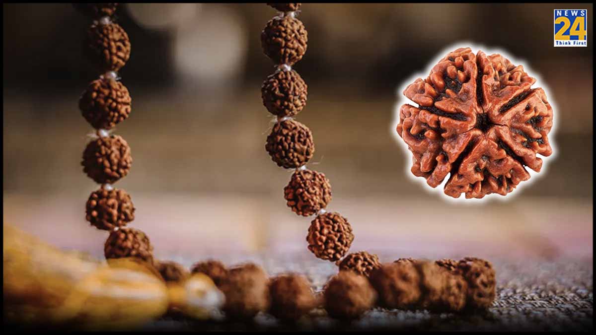 Rudraksha-Rules