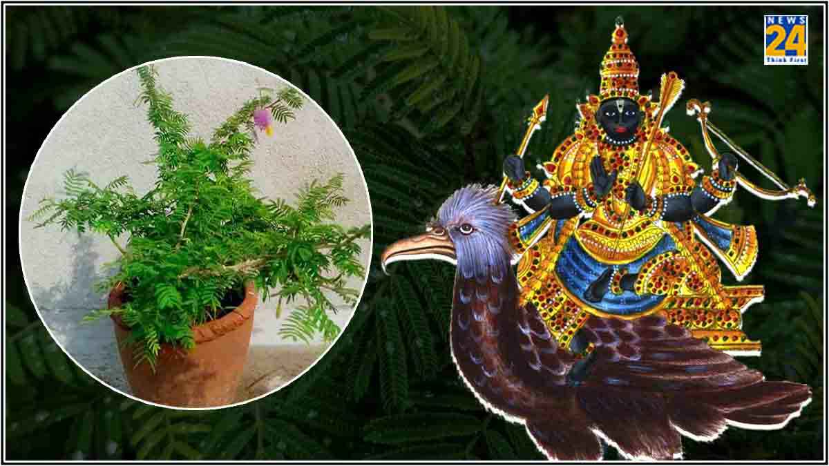 Shami-Plant-Signs