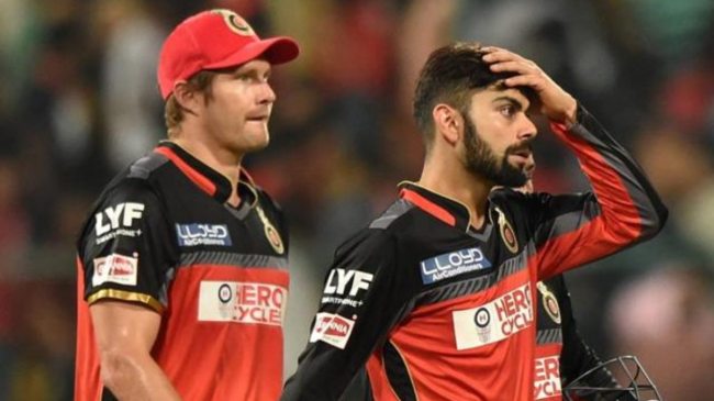 Shane Watson RCB Shane Watson RCB