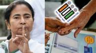 TMC mamta banerjee by election results 2024