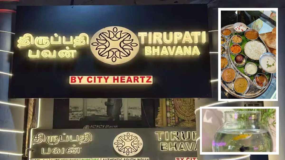 गजब! दिल्ली का ये रेस्टोरेंट 'मुफ्त' में देता है गिफ्ट, खाना भी है लाजवाब