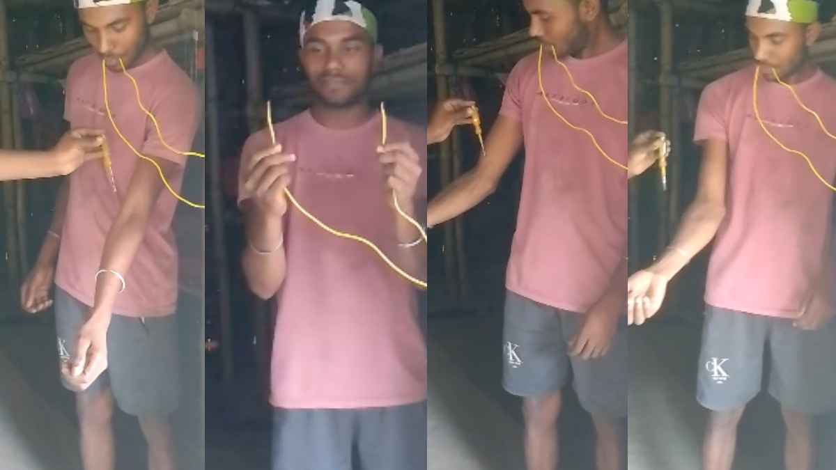 Viral Video