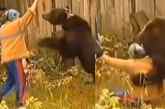 Bear attack viral video