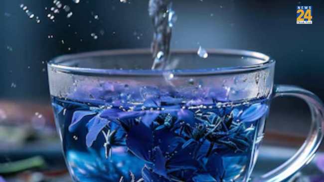 blue tea benefits blue tea benefits