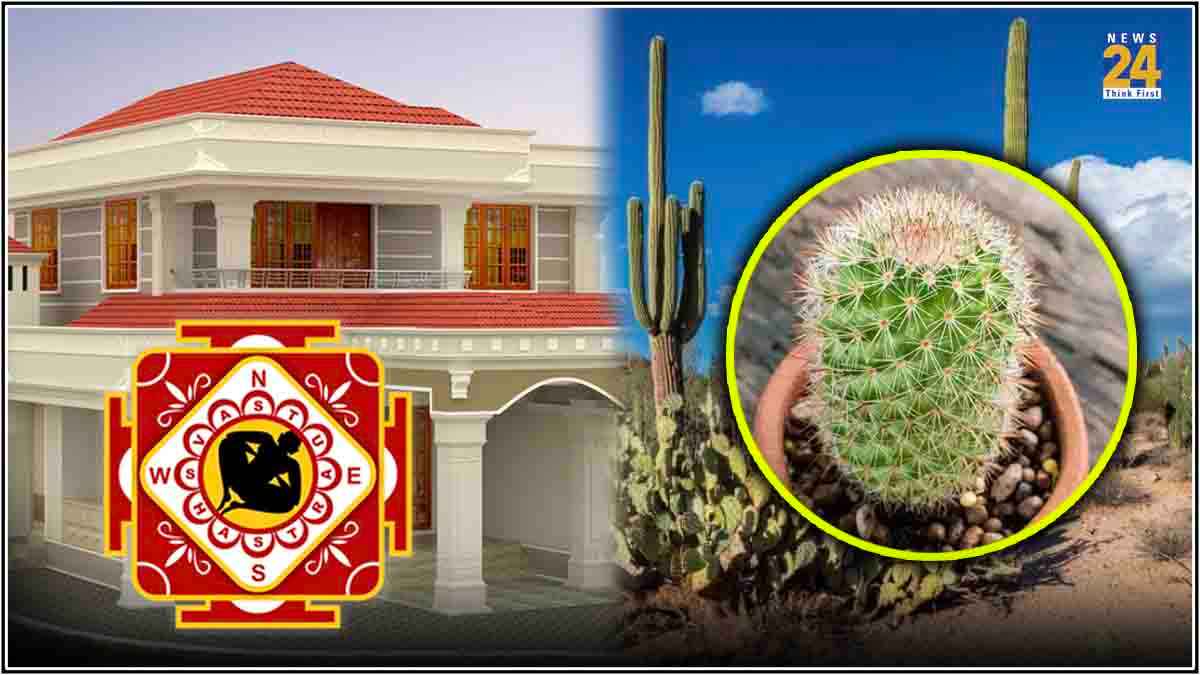 Vastu Tips: घर में कैक्टस प्लांट रखना अशुभ क्यों? फैमिली मेम्बर्स पर होते हैं ये नेगेटिव असर