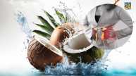 coconut water benefits in kidney stone