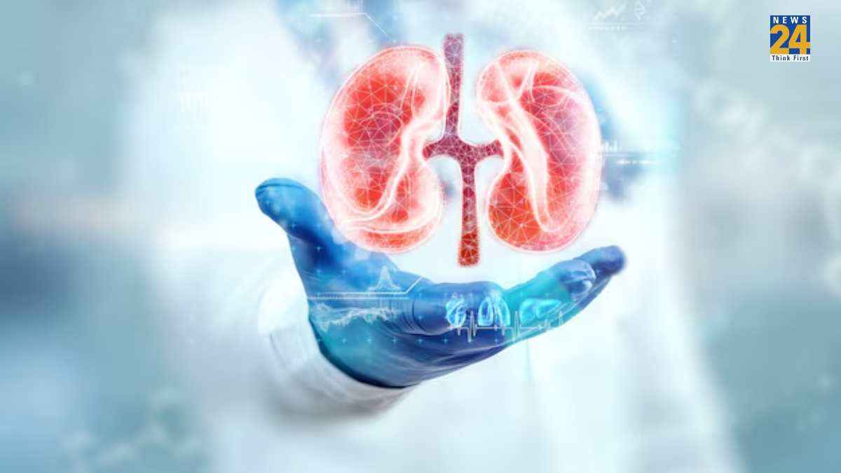kidney health