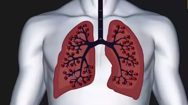 tips for healthy lungs