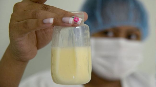 Human Milk Human Milk