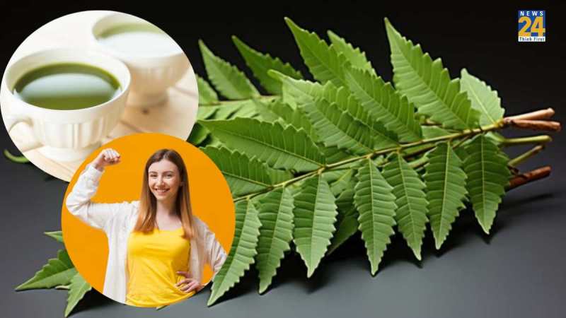 neem benefits in summer