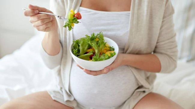 Pregnant Women Diet