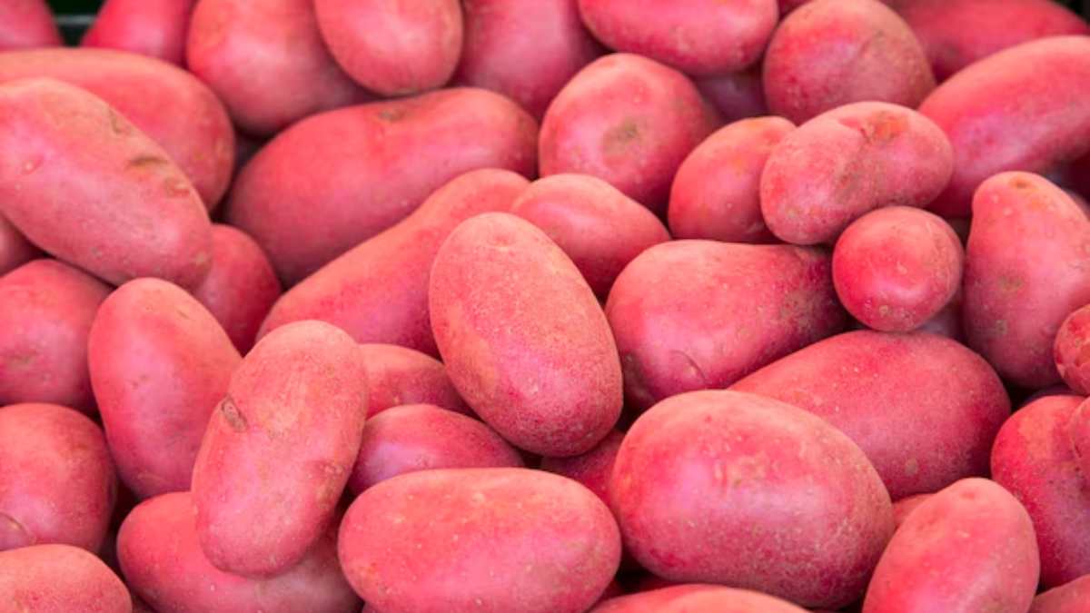 red potato benefits