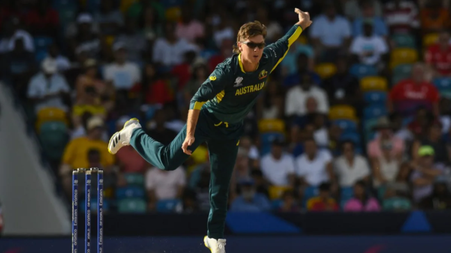 AUS Vs NAM Adam Zampa T20 World Cup 2024 AUS Vs NAM Adam Zampa