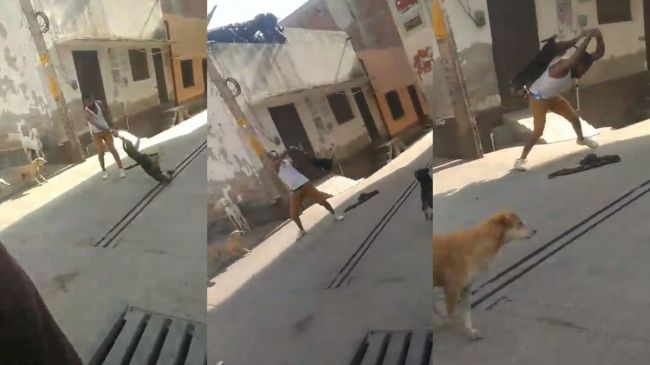Baghpat Viral Video Baghpat Viral Video