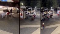 Bull Attack Viral Video