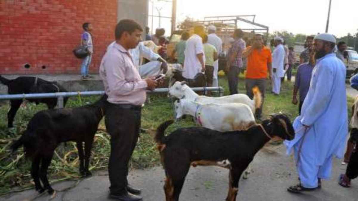 Eid ul-Adha 2024: बकरीद से पहले बिक रहे 50 हजार से 7 लाख तक के बकरे, सज गया ईद का बाजार