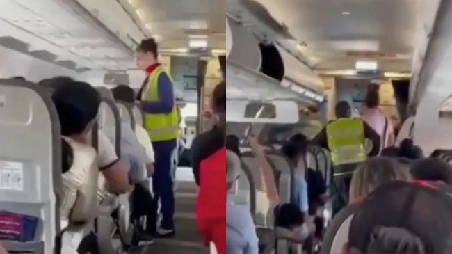 Flight Attendent Flight Attendent