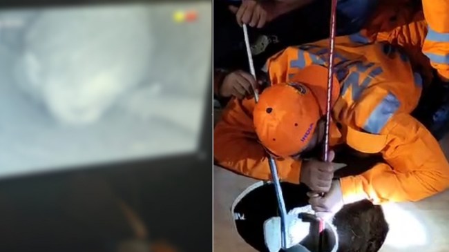 Gujarat Amreli Borewell Accident Baby Girl Died