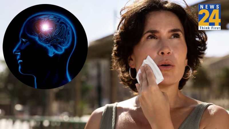 Heat Stroke And Brain Stroke Difference