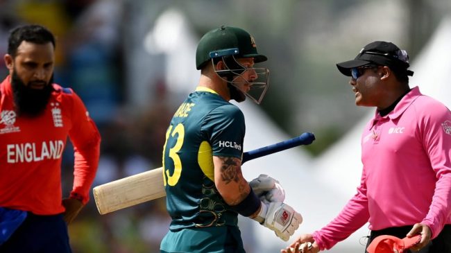 Matthew Wade Umpire Nitin Menon