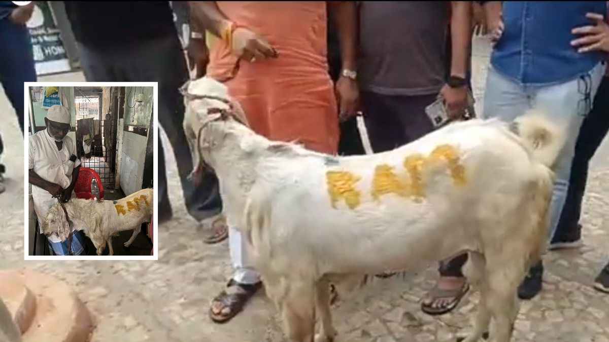 Mumbai Bakra