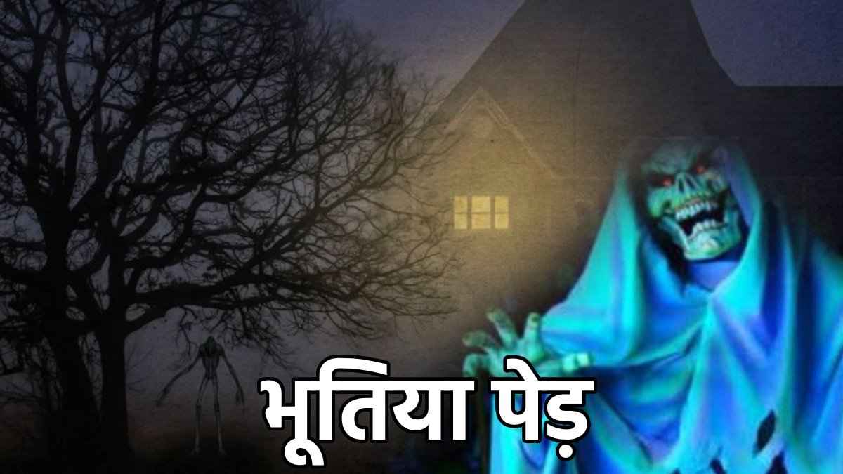 इन 5 पेड़ों को 'आत्माओं का ठिकाना' क्यों मानते हैं लोग? जानें कितना सच और कितना झूठ?