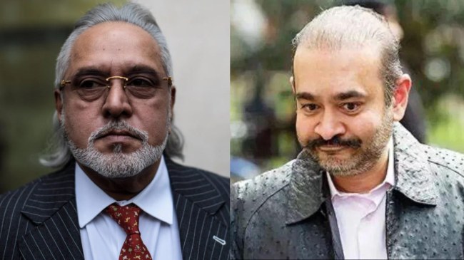 PMLA court Comment on Neerav Modi Vijay Mallya