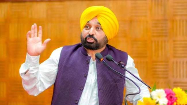 Punjab CM Bhagwant Mann (4)