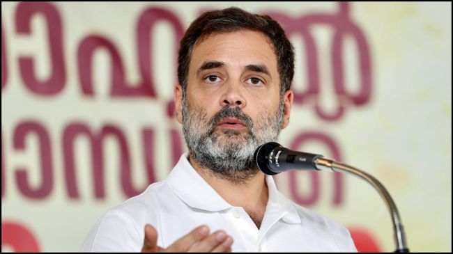 राहुल गांधी हरियाणा के समर में 26 सितंबर से उतरेंगे। फाइल फोटो