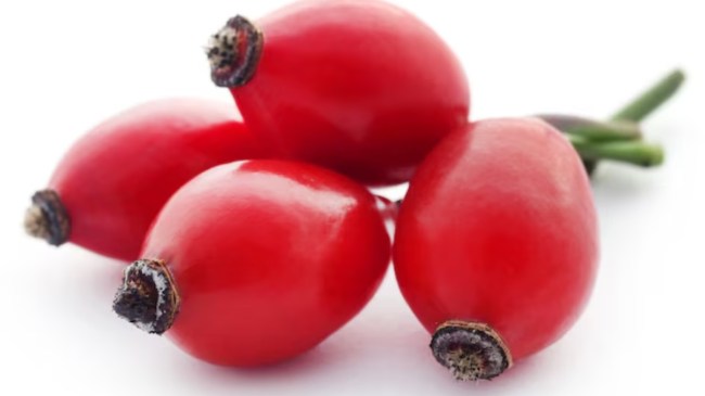 Rosehip benefits