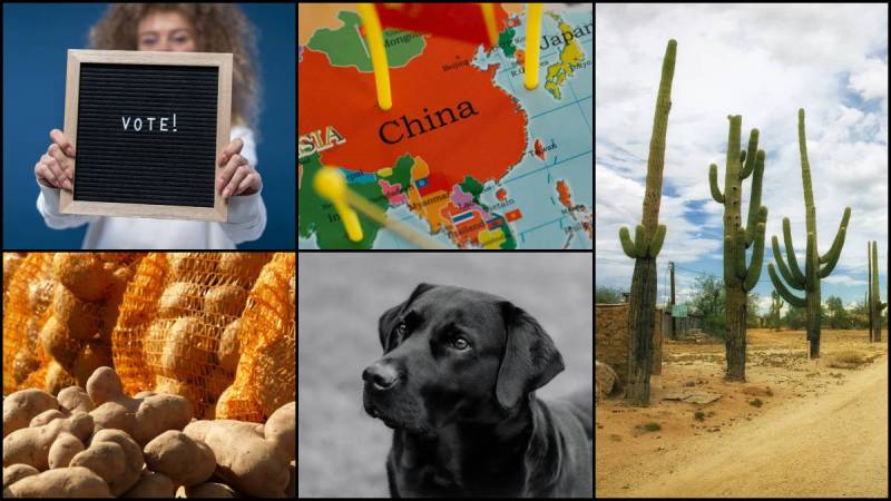Strange Laws Around The World