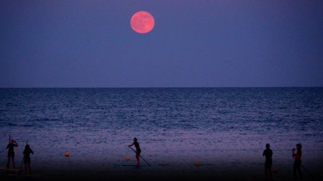 Strawberry Moon 21 June Purnima Night