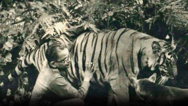 Tigress Khairi With Saroj Raj Chowdhury Tigress Khairi With Saroj Raj Chowdhury