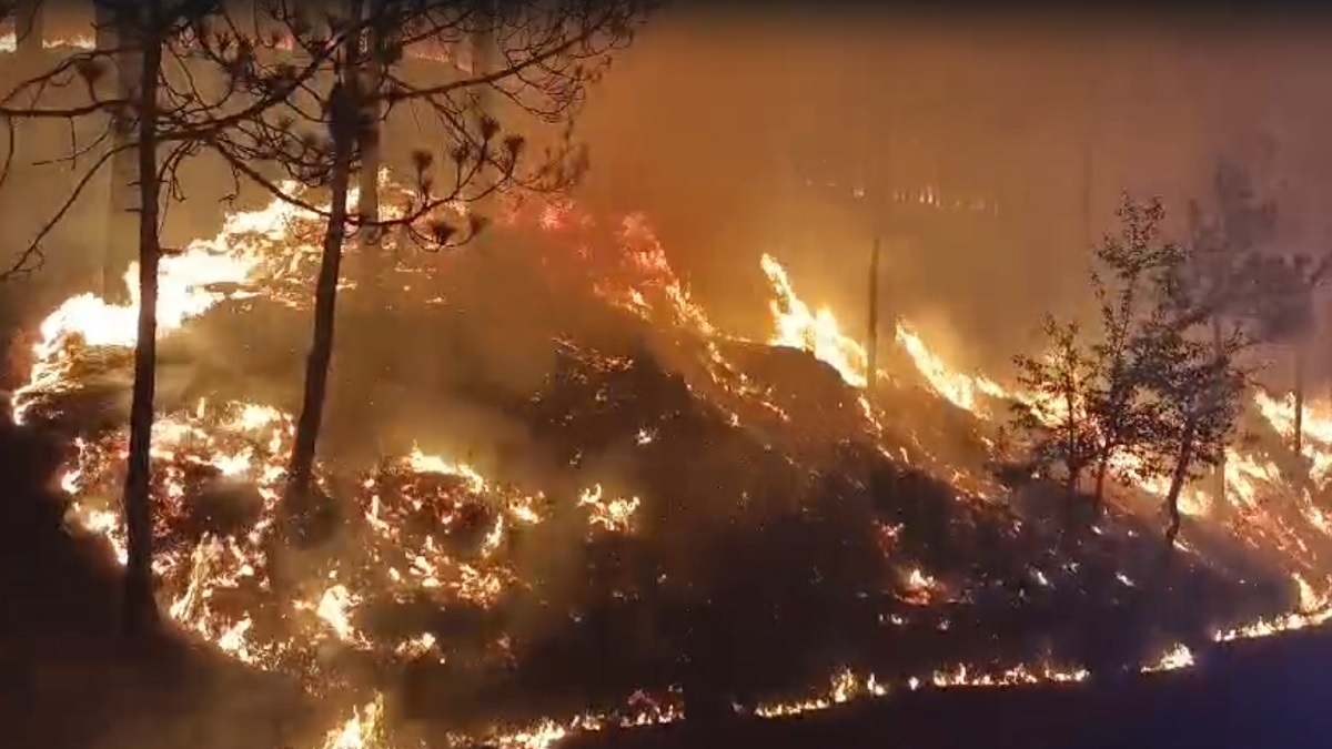 Uttarakhand Forest Fire Video