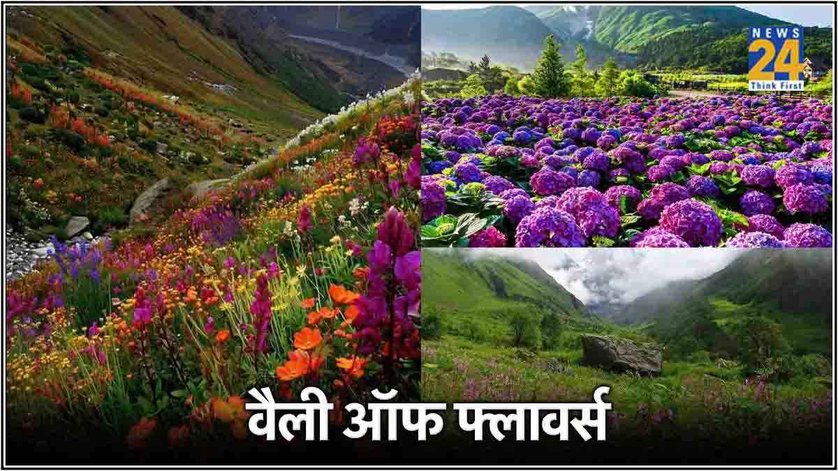 Valley of Flowers National Park