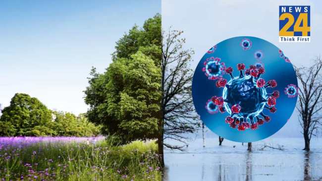 World Environment Day 2024 World Environment Day 2024