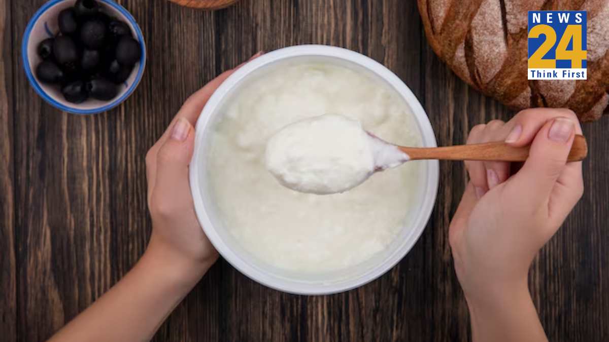 curd eating benefits