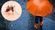 dengue disease in monsoon