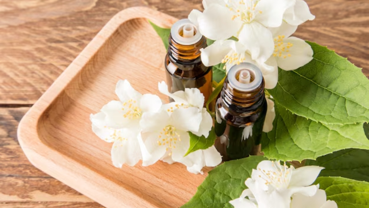 jasmine oil benefits