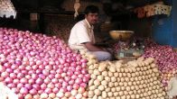 Potato Onion Price