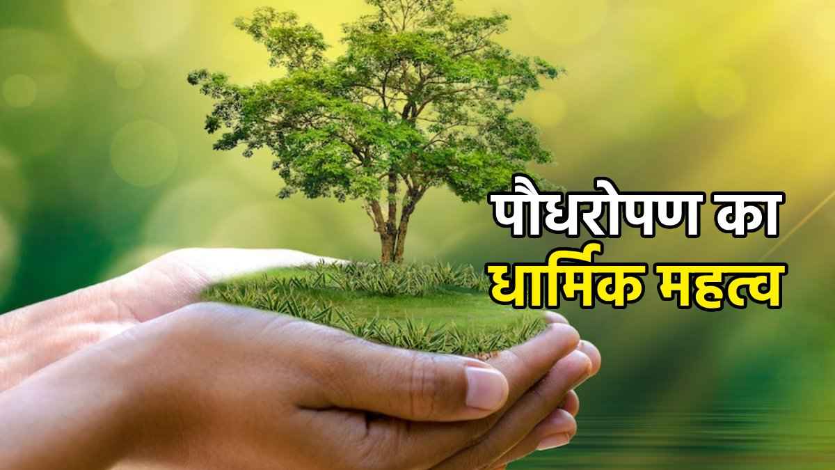 सिर्फ ऑक्सीजन ही नहीं पुण्य फल भी देते हैं पेड़, जानें किस पेड़ को लगाने से क्या मिलेगा फल