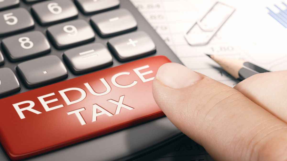 10 लाख की आय पर टैक्स बचाने के लिए आपको पुरानी टैक्स व्यवस्था को चुनना होगा। कई सारी स्कीम्स में निवेश करना होगा। फाइल फोटो