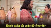 Anant Ambani Wedding Outfit Cost