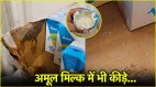 Amul Buttermilk Viral Video