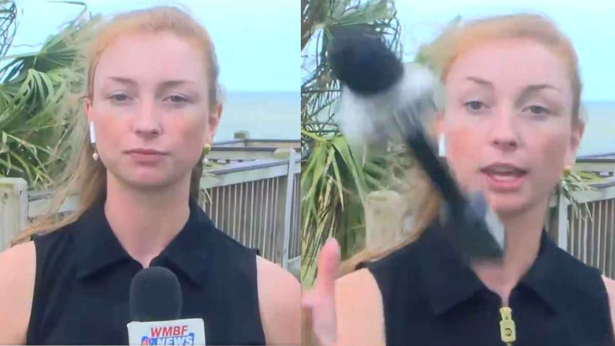 Anchor Viral Video
