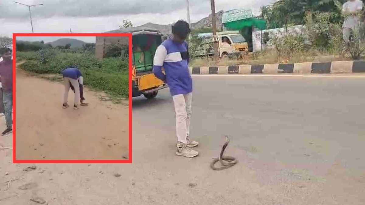 नशे में जहरीले सांप से खेला-डांटा, जब उसने काटा तो सामने दिखी 'मौत', अस्पताल में दाखिल