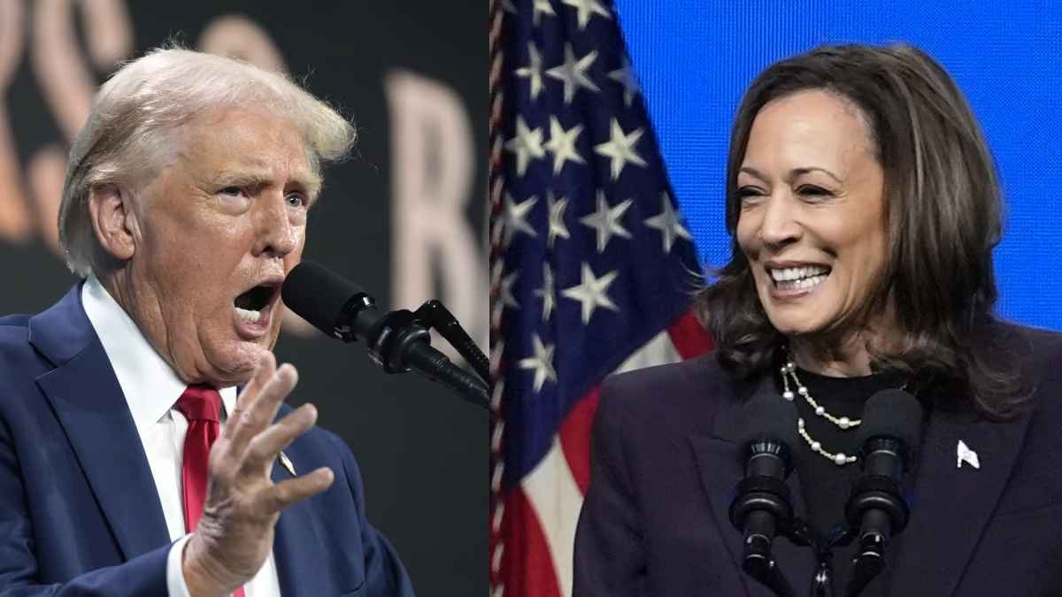 Astrologer Amy Tripp Prediction on Trump or Harris